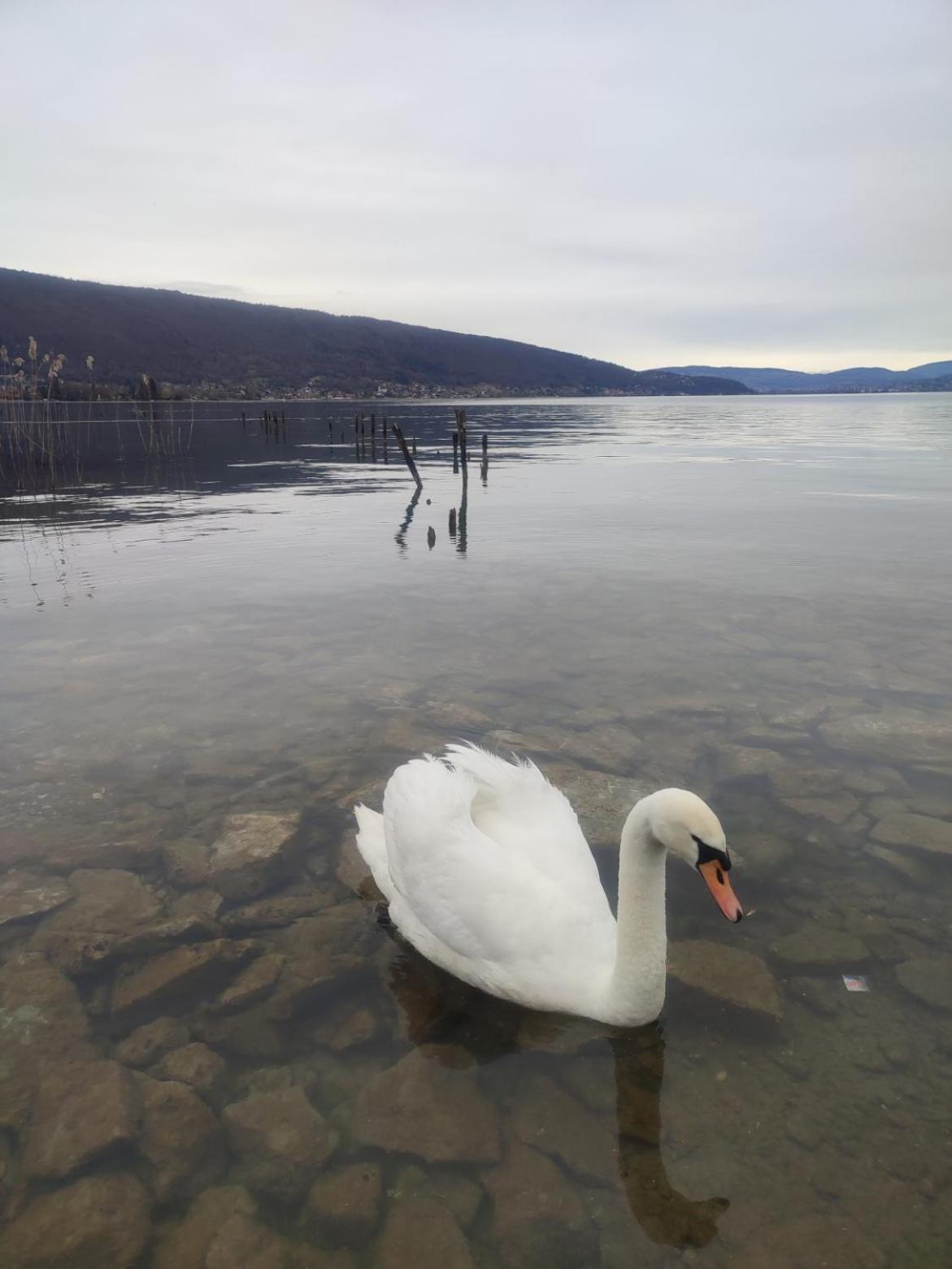 Chambre Atypique 2 Pers 200M Du Lac Сен-Жорьо Экстерьер фото